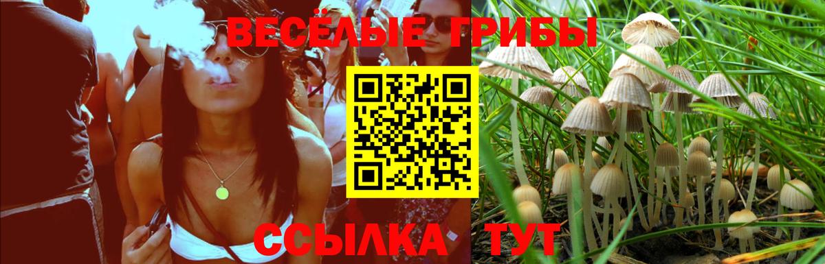 Галлюциногенные грибы GOLDEN TEACHER  Псилоцибиновые грибы мицелий  Камышлов  Вход с VPN 